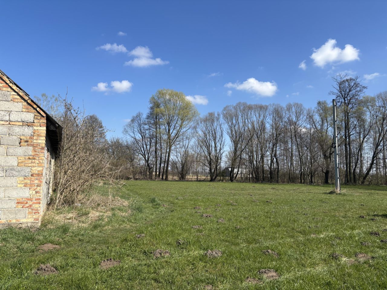 siedlisko, 2 pokoje Wilamów, Wilamów. Zdjęcie 5