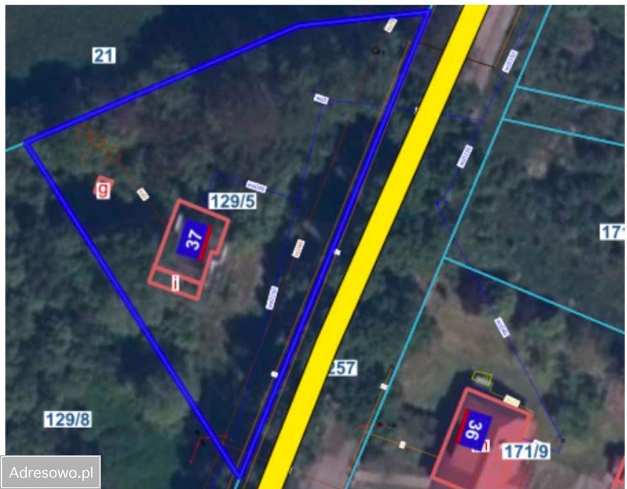 Działka inwestycyjna Silnowo. Zdjęcie 8