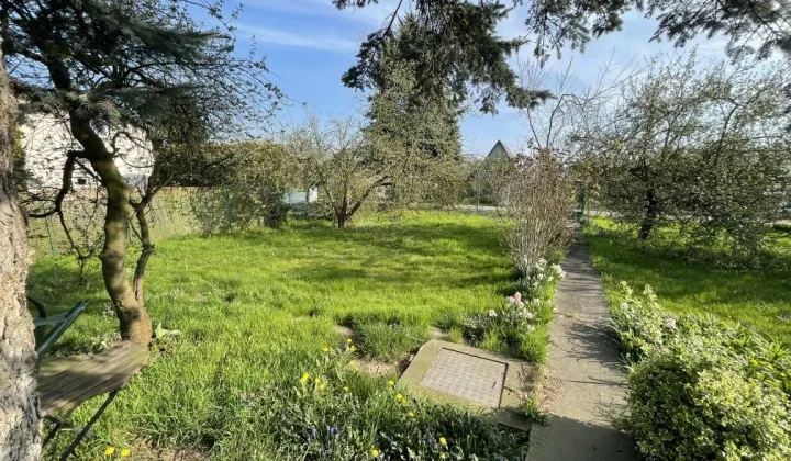 Działka rod Szczecin Warszewo