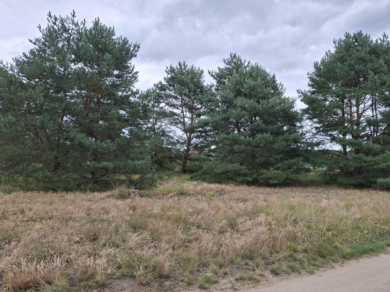 Działka na sprzedaż bez pośredników 
 
 Kuźnica Żelichowska - Widok 5