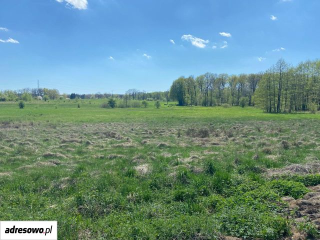 Działka rolno-budowlana Bądzów. Zdjęcie 1