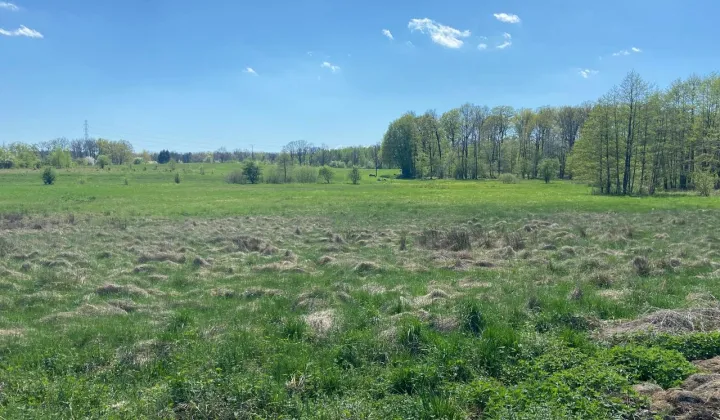 Działka rolno-budowlana Bądzów