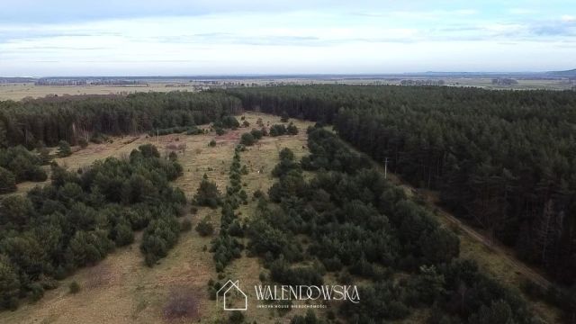 Działka budowlana Smołdzino. Zdjęcie 6