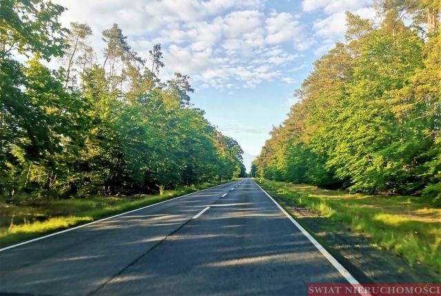 Działka rolna Skoroszów. Zdjęcie 5