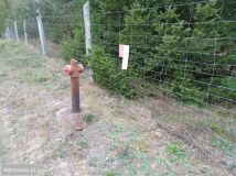 Działka budowlana Nowa Wieś. Zdjęcie 1