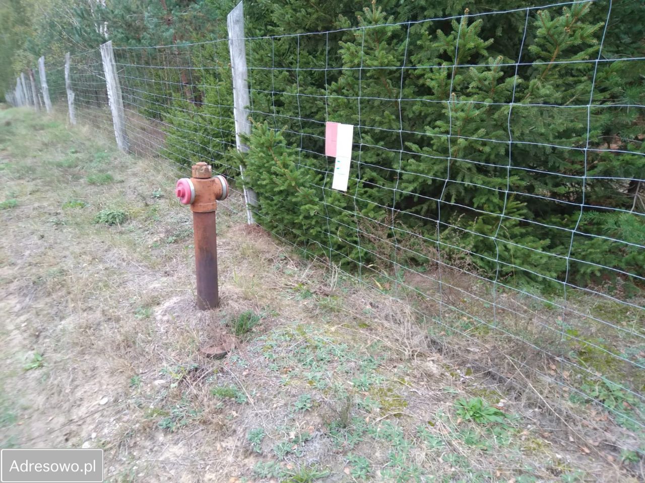 Działka budowlana Nowa Wieś. Zdjęcie 2