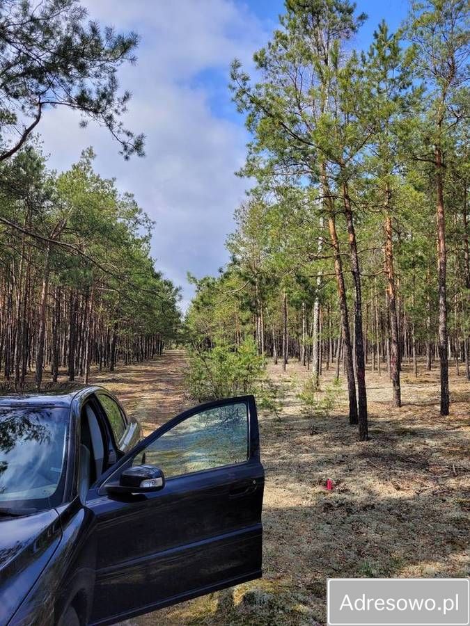 Działka leśna Łaz. Zdjęcie 2