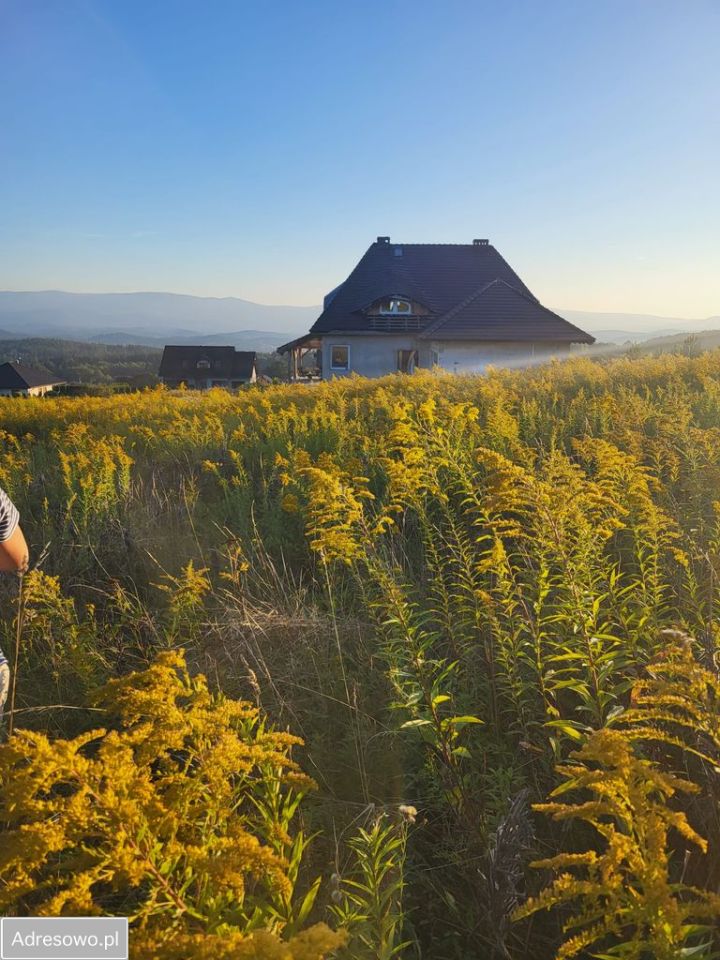 Działka budowlana Dziwiszów, ul. Słoneczna. Zdjęcie 4