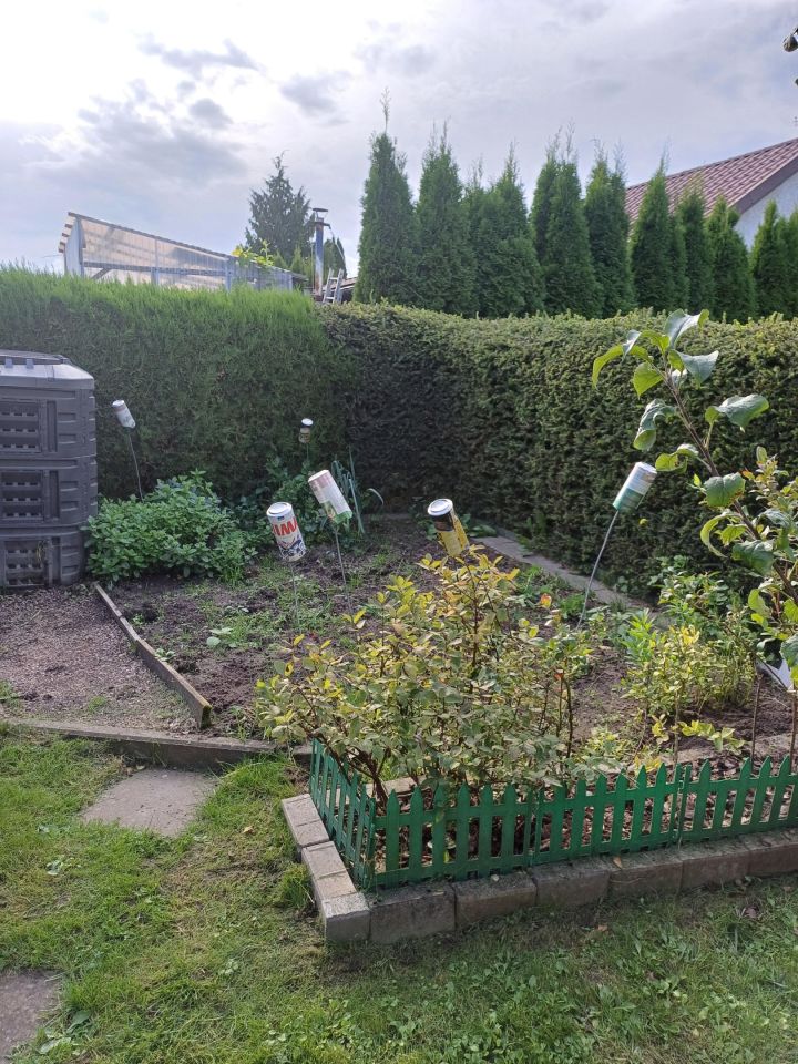 Działka rod Tuchola, ul. Sępoleńska. Zdjęcie 7