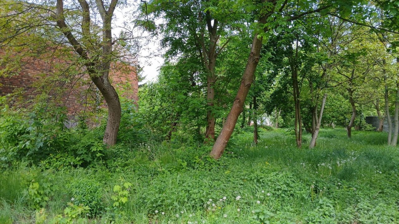 dom wolnostojący, 5 pokoi Pniewy, ul. Dworcowa. Zdjęcie 10