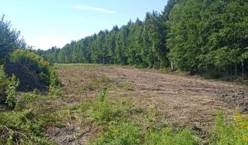 Działka budowlana Biała Pierwsza Laski