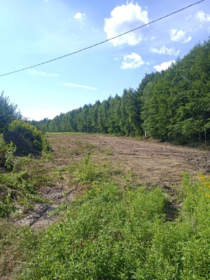 Działka budowlana Biała Pierwsza Laski. Zdjęcie 2