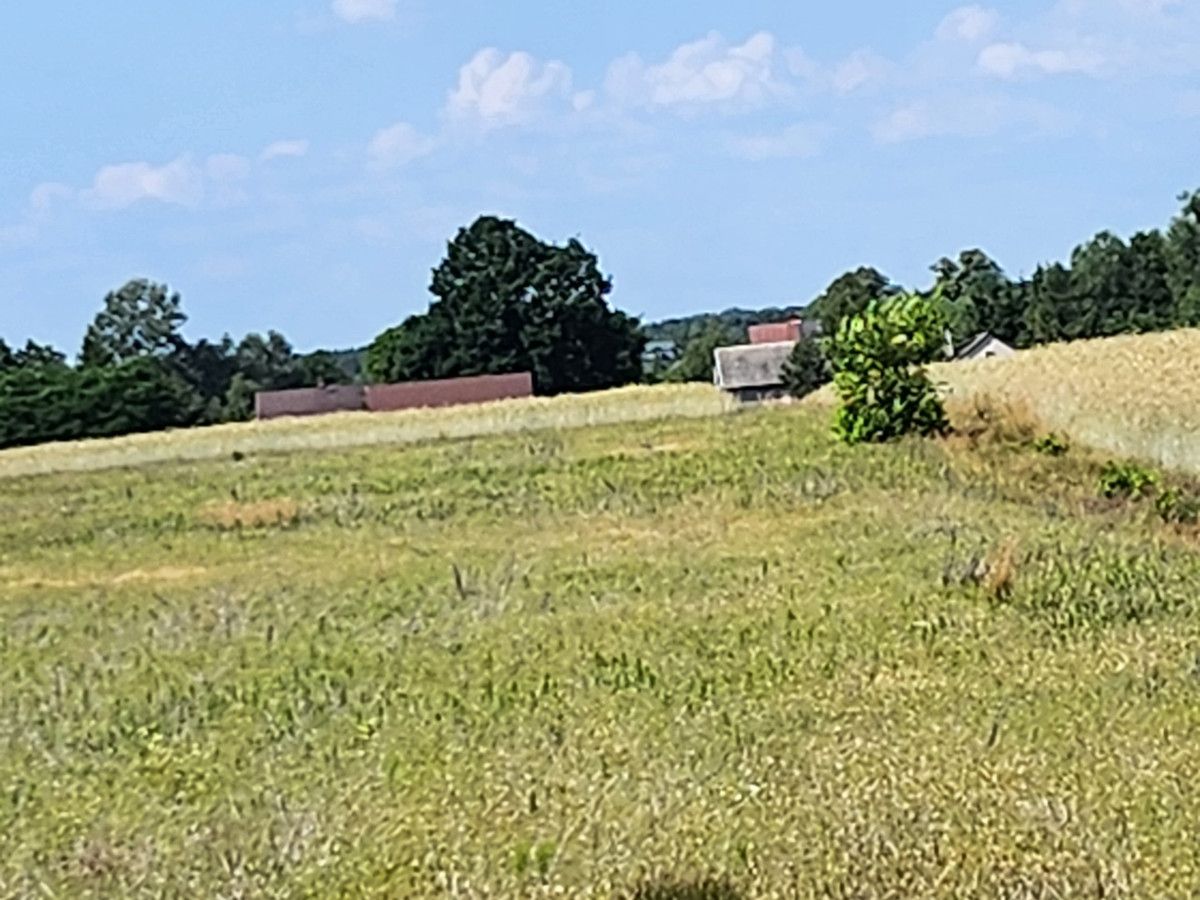 Działka rolna Joniec-Kolonia. Zdjęcie 5