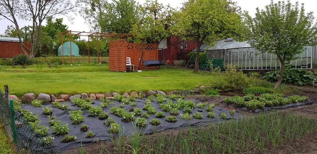 Działka rekreacyjna Ostróda