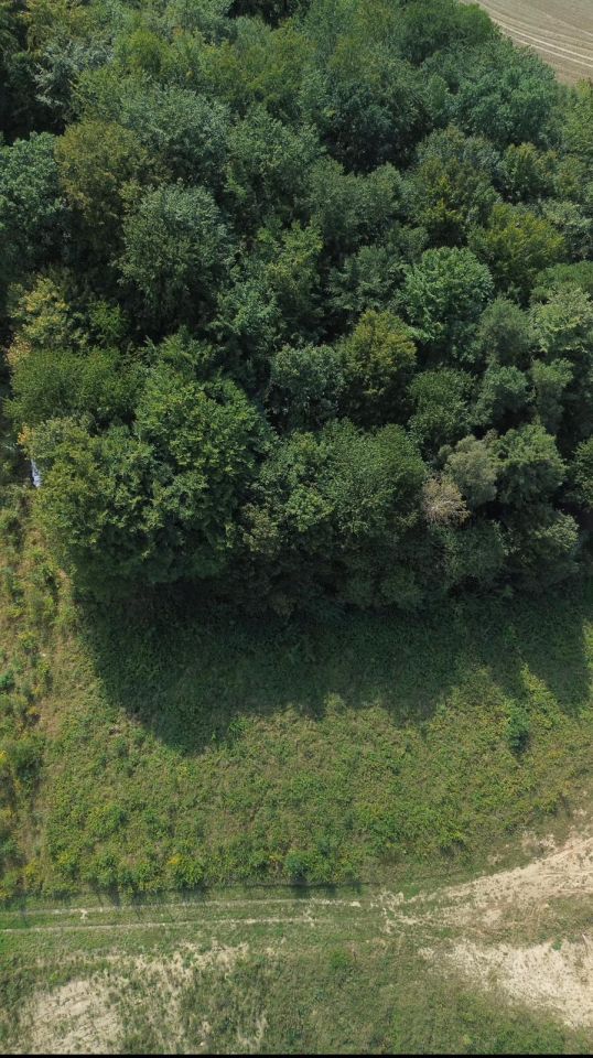 Działka budowlana Ręboszewo, ul. Widokowa. Zdjęcie 3