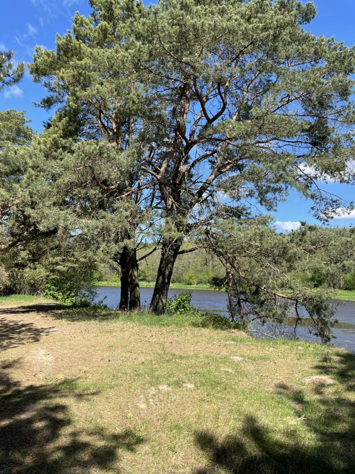 Działka rolna Szablak. Zdjęcie 6