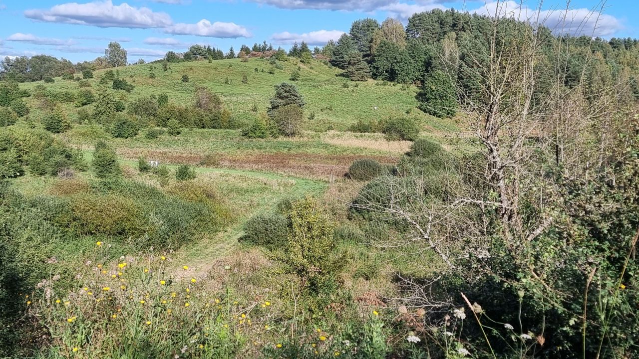 Działka budowlana Łaniewo. Zdjęcie 8