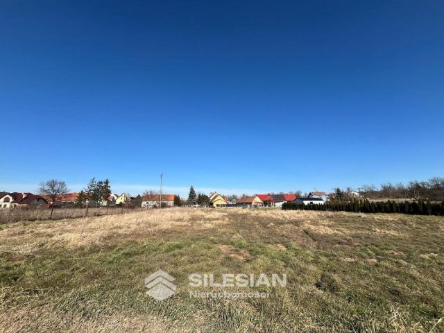 Działka budowlana Pszenno. Zdjęcie 1