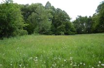 Działka budowlana Skwirtne. Zdjęcie 4