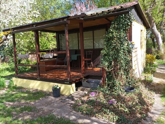 Działka rod Toruń. Zdjęcie 1