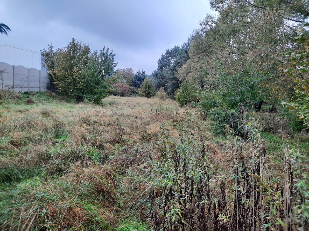 Działka budowlana Potaśnia, ul. Gruszowa. Zdjęcie 5