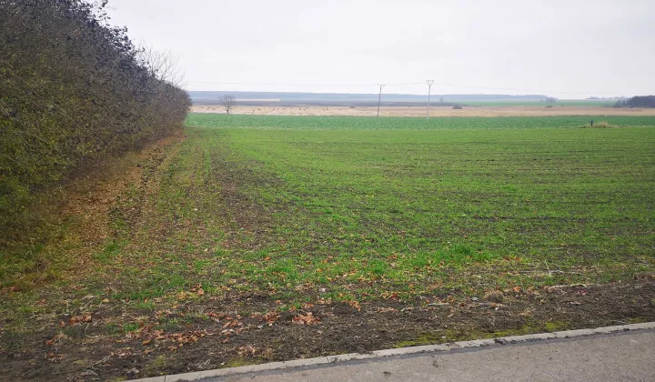 Działka budowlana Machnów Nowy