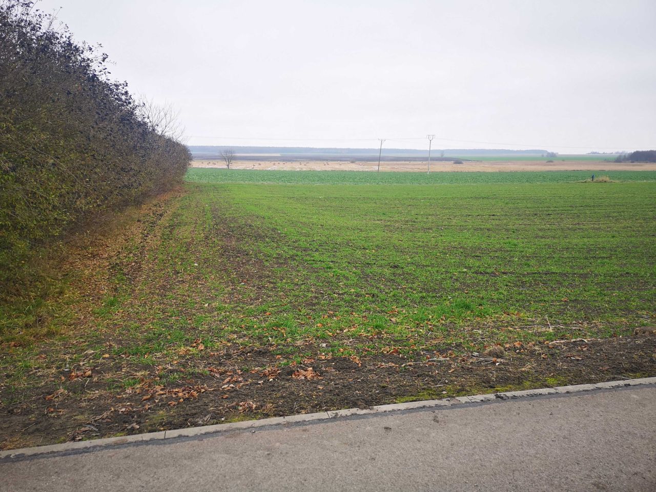 Działka budowlana Machnów Nowy. Zdjęcie 1