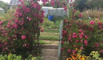 Działka rod Żukowo, ul. Polna