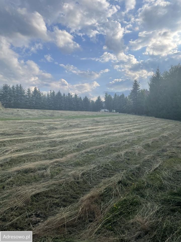 Działka budowlana Mszalnica. Zdjęcie 4