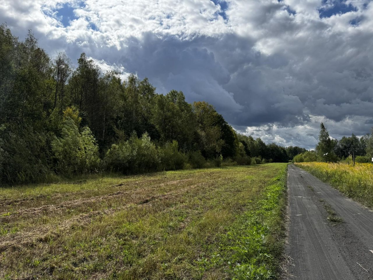 Działka budowlana Nowy Prażmów, ul. Akacjowa. Zdjęcie 9