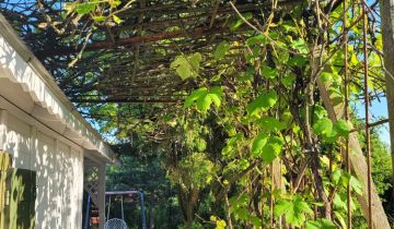 Działka rod Płońsk, ul. Szkolna