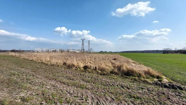 Działka inwestycyjna Suchy Bór, ul. Tartaczna. Zdjęcie 1