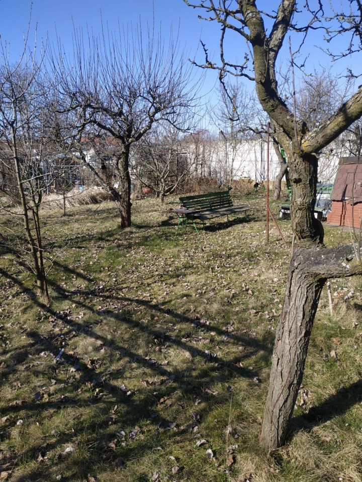 Działka rod Brzeg, ul. Fabryczna. Zdjęcie 6