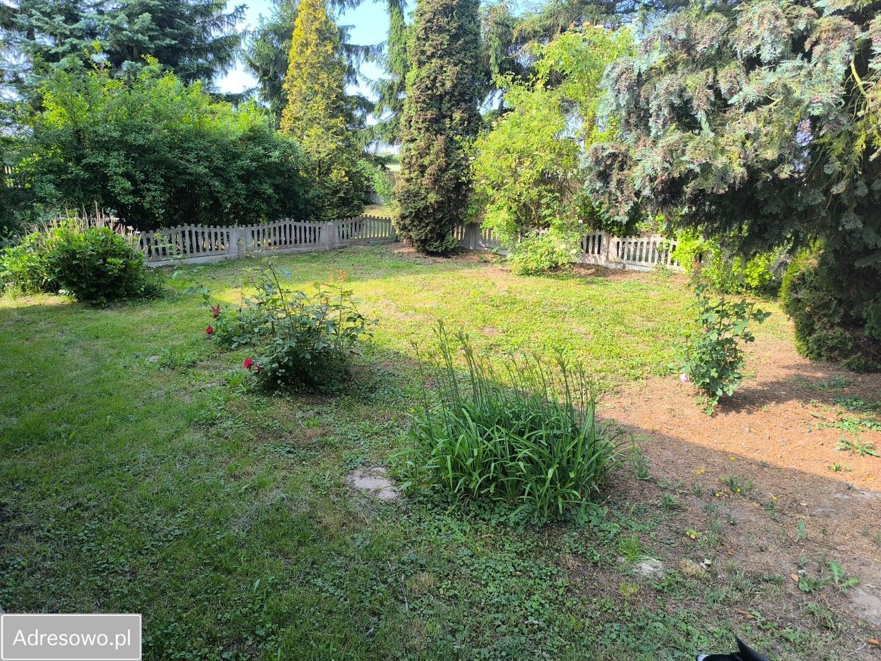 dom wolnostojący, 4 pokoje Czerniewice. Zdjęcie 3