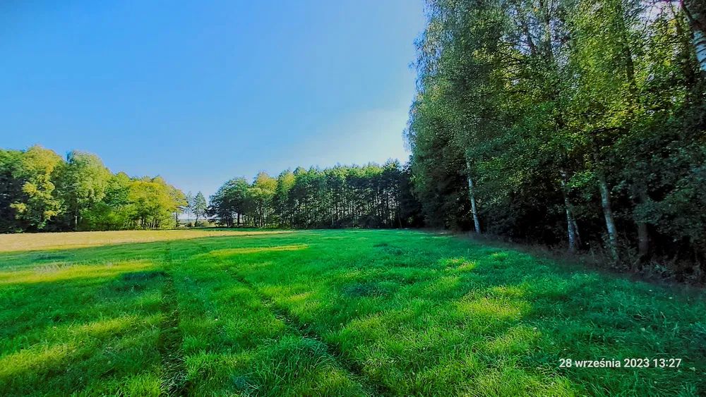 Działka rolno-budowlana Serski Las. Zdjęcie 8