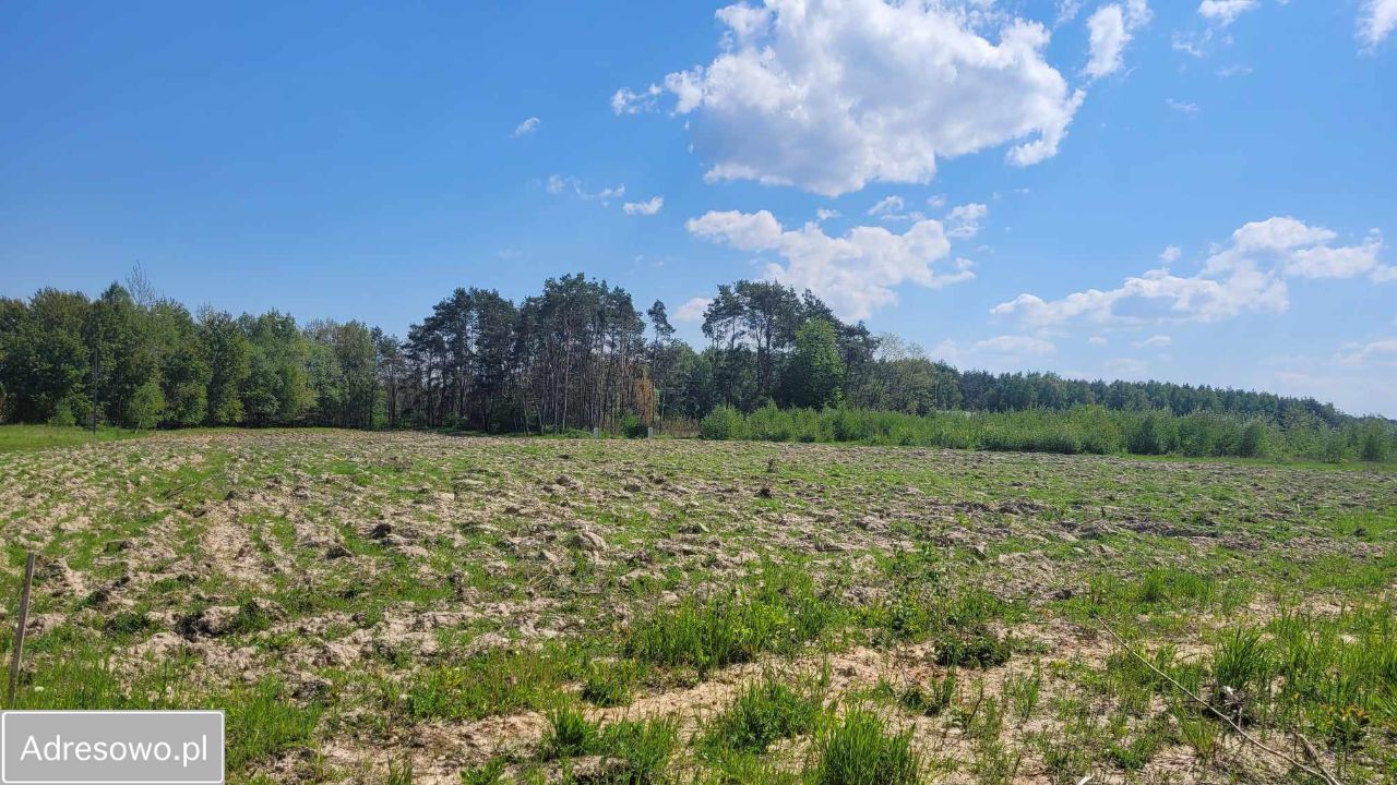 Działka budowlana Kobylec. Zdjęcie 6