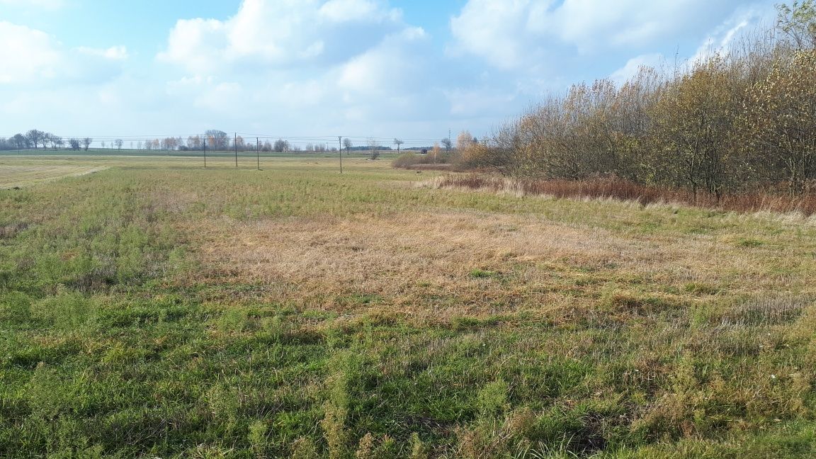 Działka inwestycyjna Kock. Zdjęcie 5