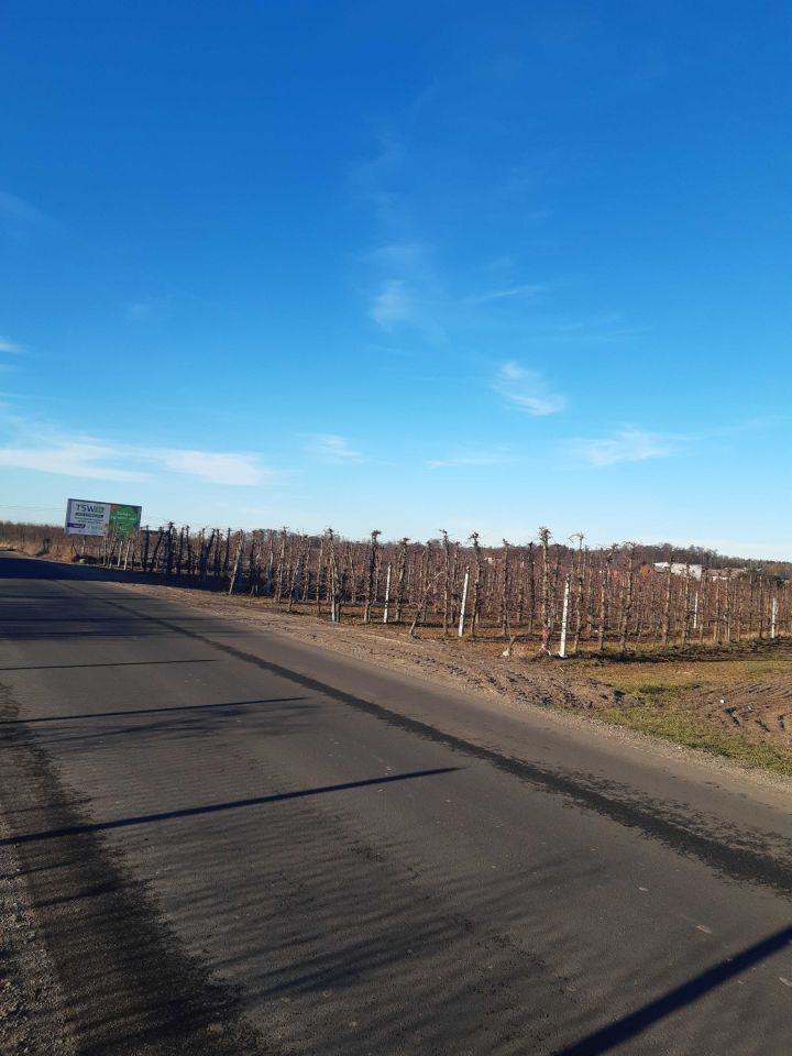 Działka rolno-budowlana Nowy Żelechów. Zdjęcie 3