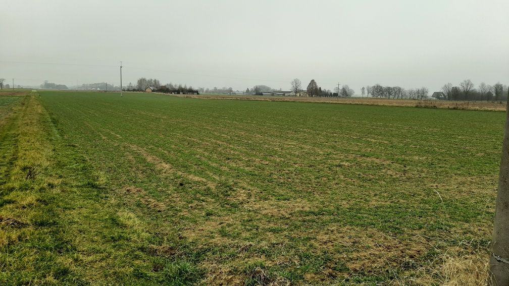 Działka budowlana Podkampinos. Zdjęcie 2