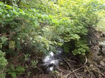 Działka budowlana Lipie. Zdjęcie 2