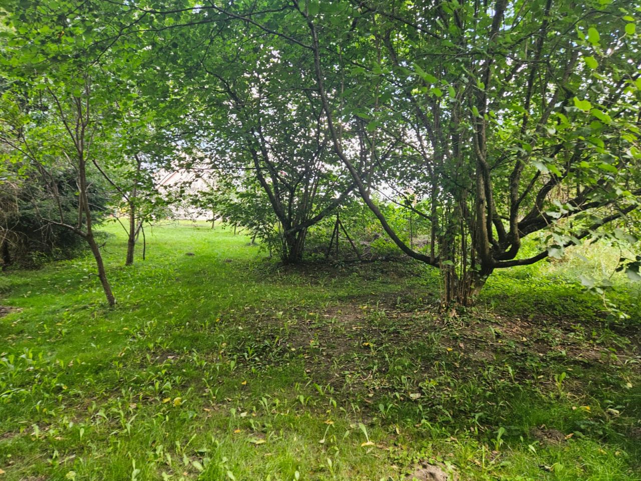 Działka budowlana Krosino, Krosino. Zdjęcie 13