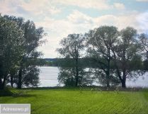 Działka rolna Mieruniszki. Zdjęcie 3