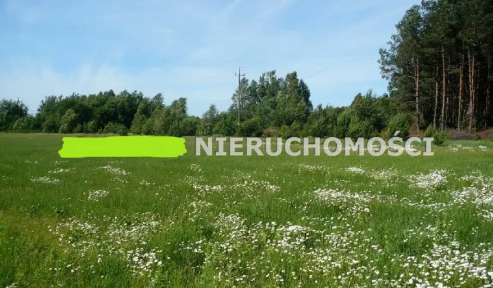 Działka rolna Joachimów-Mogiły