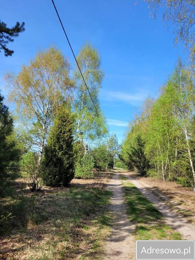 Działka rekreacyjna Mącice. Zdjęcie 9