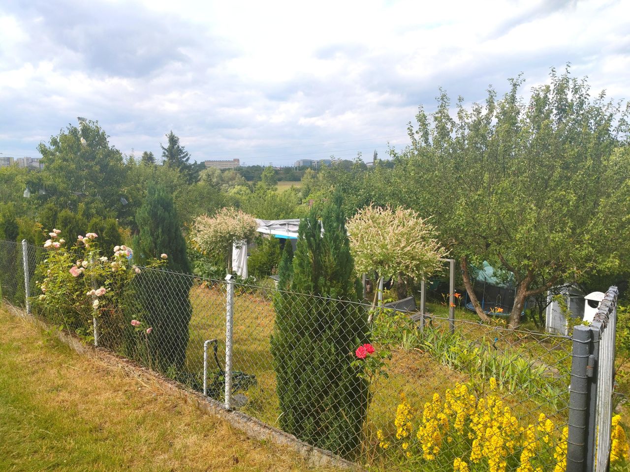 Działka rekreacyjna Szczecin Gumieńce, ul. Południowa