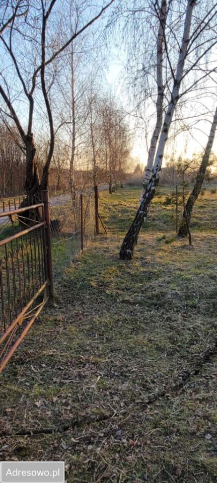 Działka inwestycyjna Suchacz. Zdjęcie 8