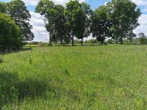 Działka rolno-budowlana Komorowo. Zdjęcie 2