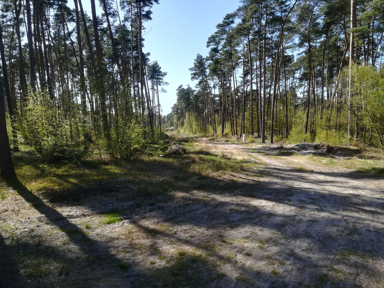 Działka budowlana Dziwnów, ul. Daglezji. Zdjęcie 12