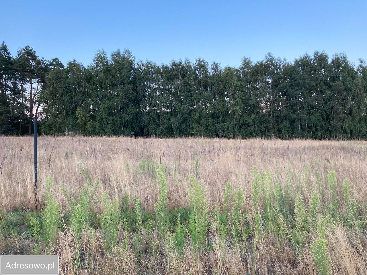 Działka Zalew. Zdjęcie 9