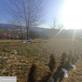 Działka budowlana Krzeczów. Zdjęcie 2